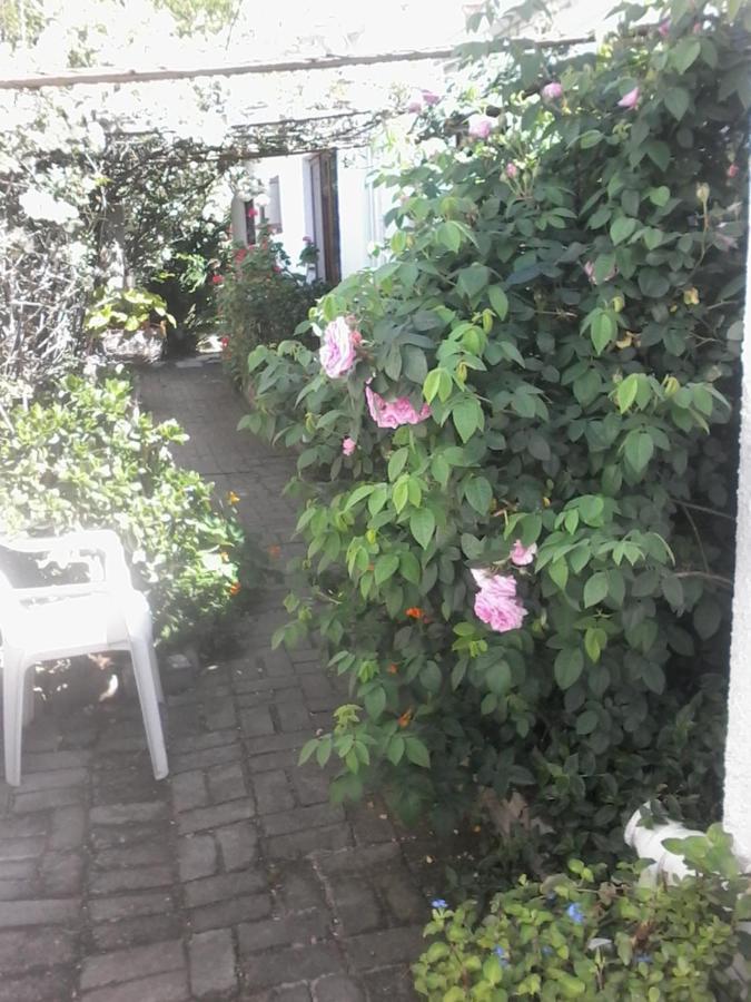 Self Catering Unit 7, Sandbaai Херманус Экстерьер фото